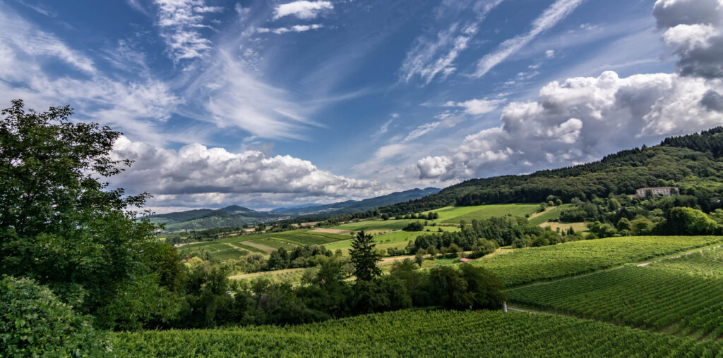 travello