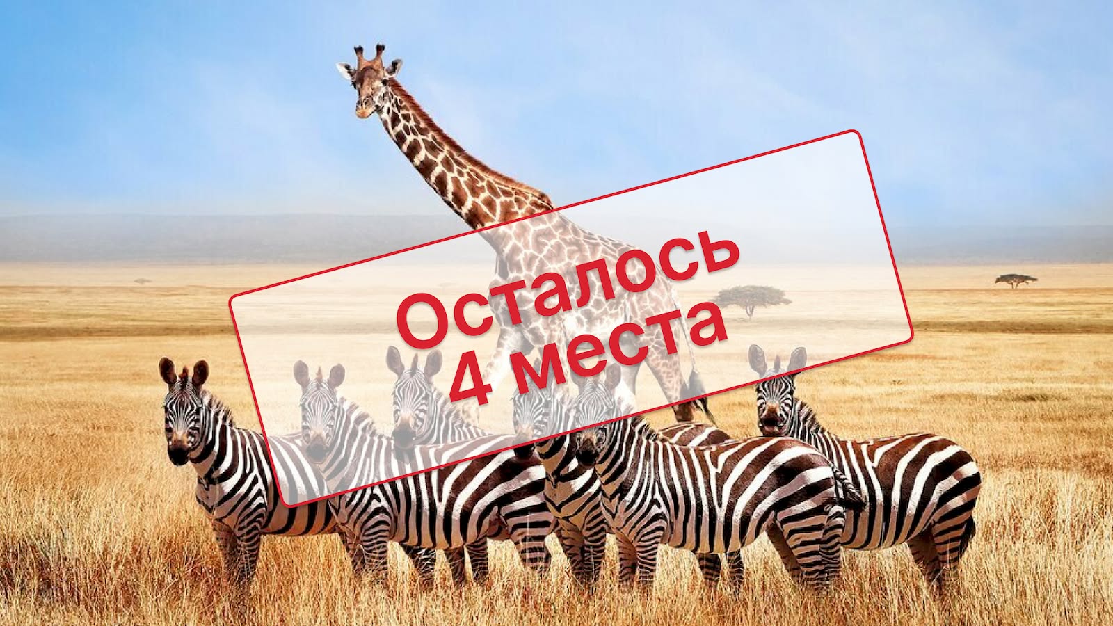 Танзания и Занзибар: cафари и отдых на океане